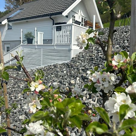 Fjord Road Apartman Hjelmeland Kültér fotó
